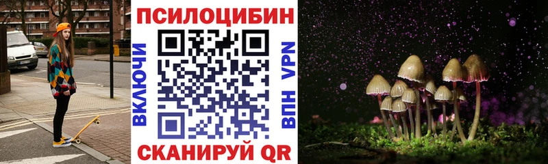 Псилоцибиновые грибы прущие грибы  Новоузенск 